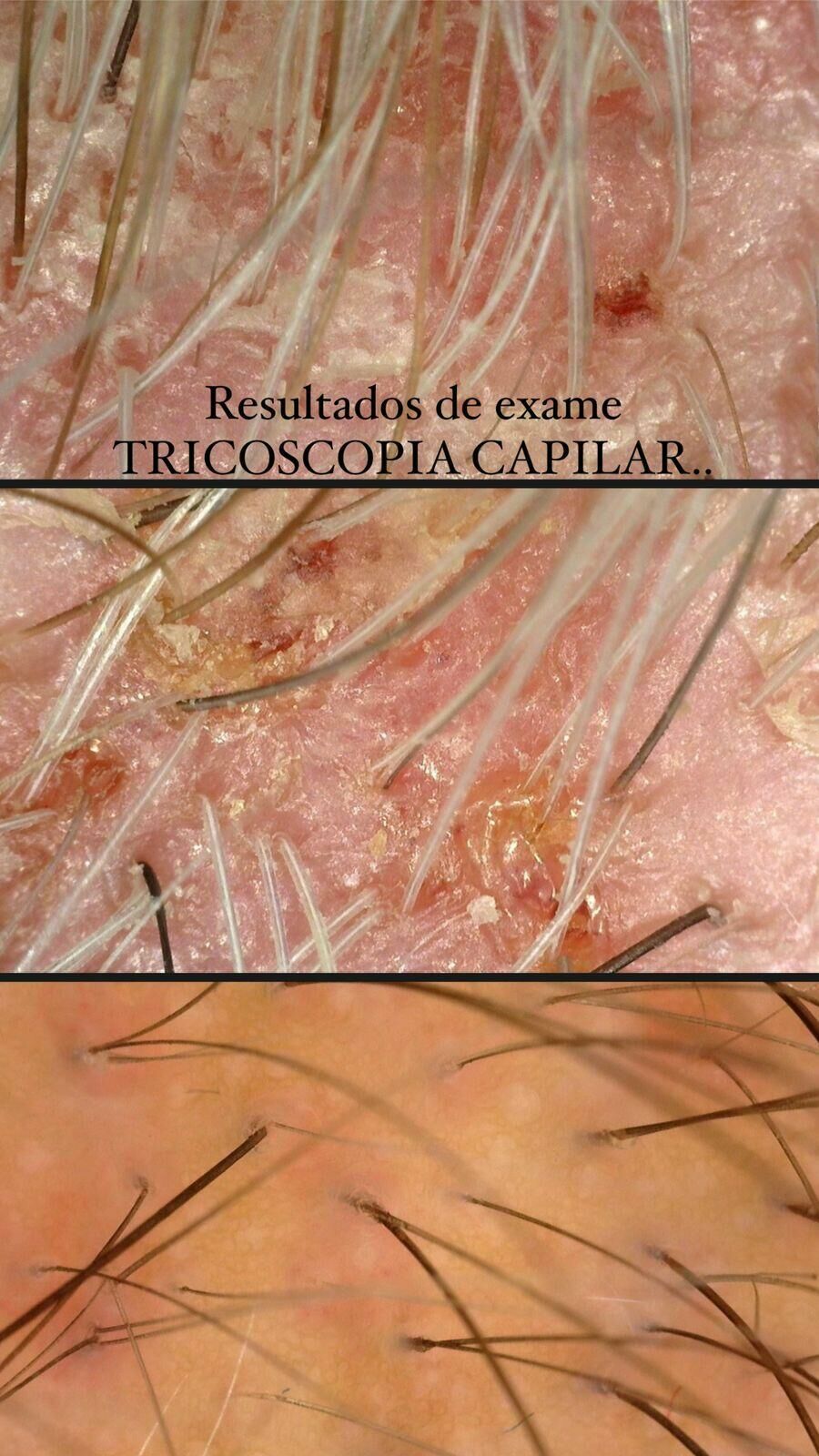 Imagem WhatsApp Image 2025-02-17 at 17.25.08